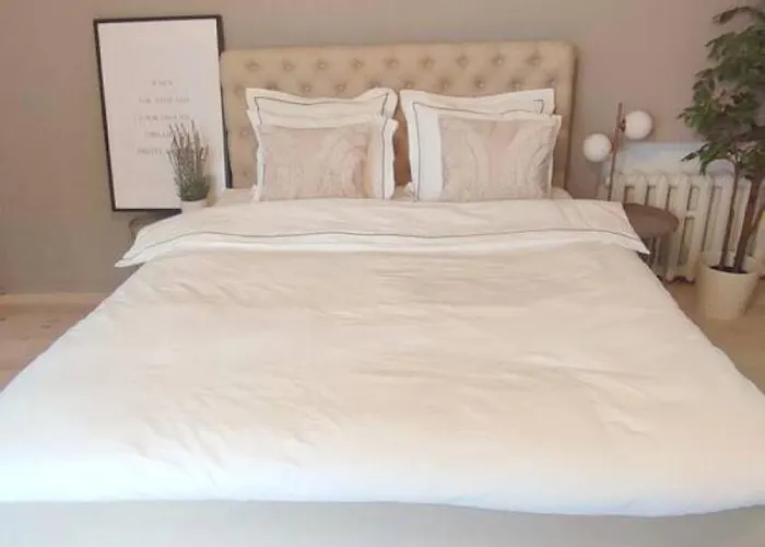 Stylish Old Town Gem Next To St Peter Church *